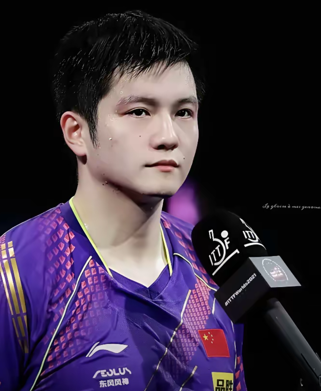 波兰队横扫法国队，樊振东惊艳四座